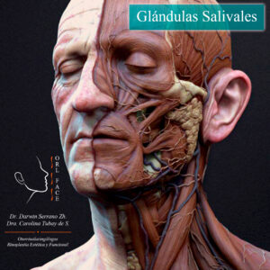 Dr. Darwin Serrano Zh. Dra. Carolina Tubay de S. Otorrinolagingologo, Otorrino. orlface. Manta. Salinas. Tumor de Glándulas Salival (Submaxilectomía):